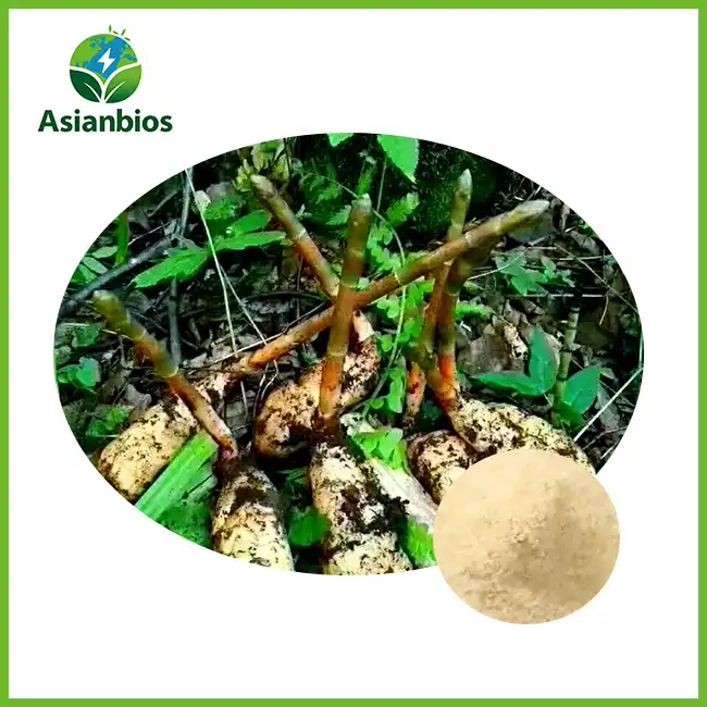 Gastrodia Extract
